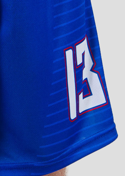 Баскетбольные шорты мужские BSK-AS01-SUBL