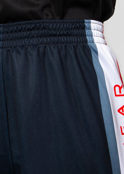 Баскетбольные шорты мужские BSK-AS06-SUBL